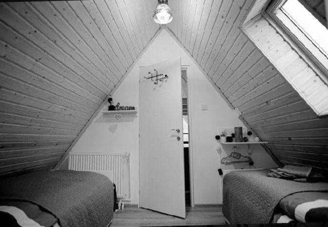 Zenith A-Frame Straja Villa Lupeni  Exterior photo