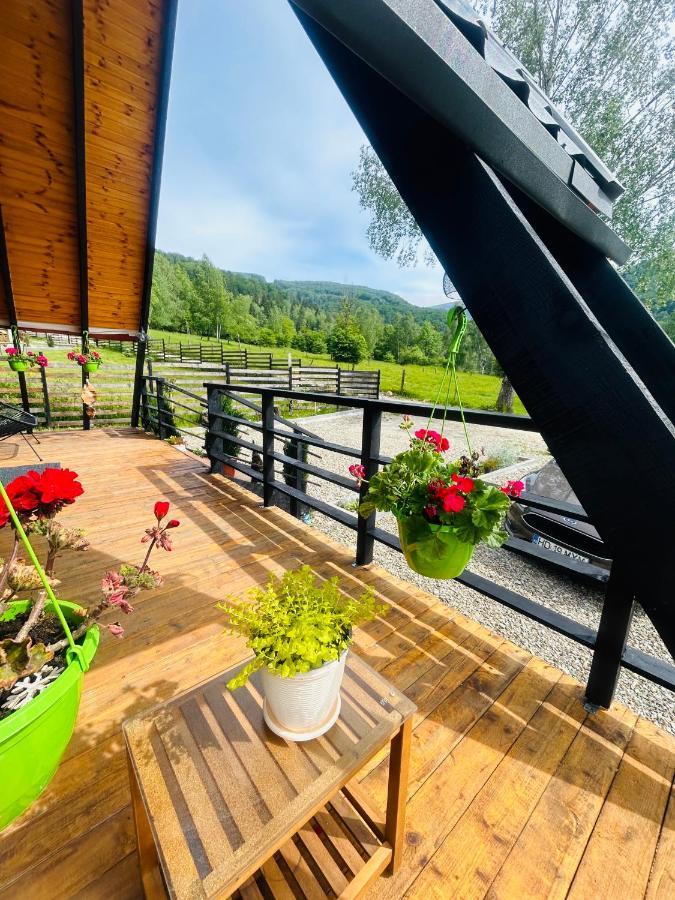 Zenith A-Frame Straja Villa Lupeni  Exterior photo